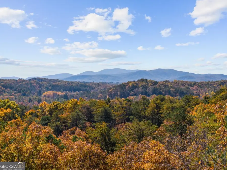 653 The Woods Road, Mineral Bluff, GA 30559 - Image #2