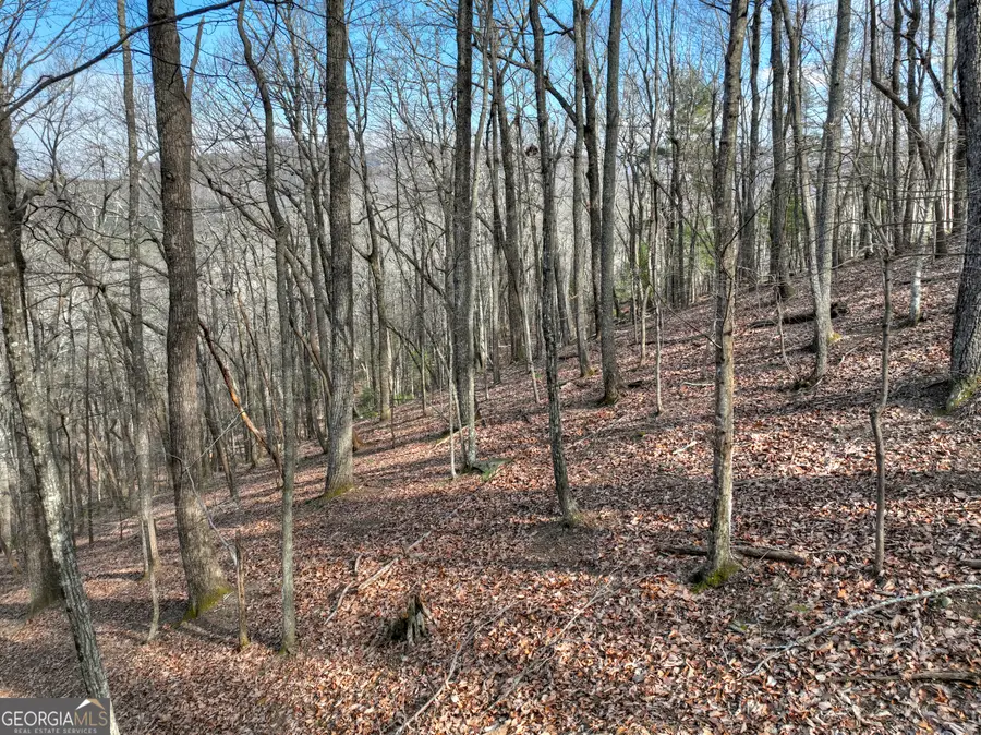 LTS 159,160 Hickory Trace, Ellijay, GA 30536 - Image #3
