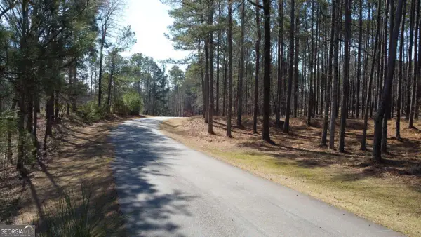 1041 Shadow Creek Way, Greensboro, GA 30642