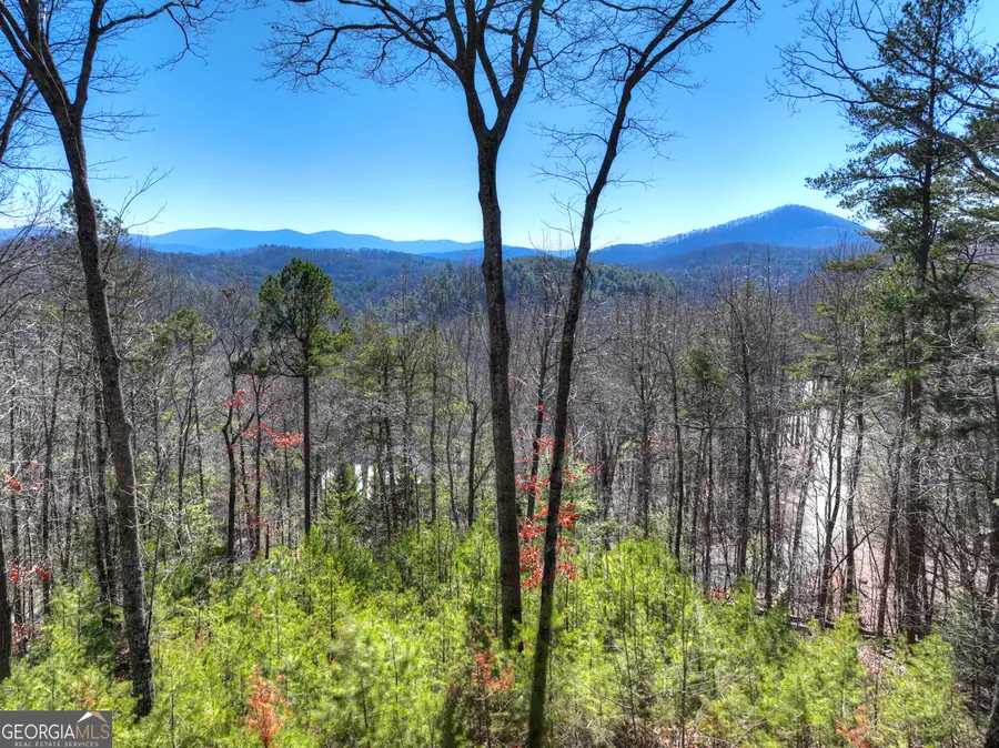 78 Brass Hill Road, Blue Ridge, GA 30513 - #2