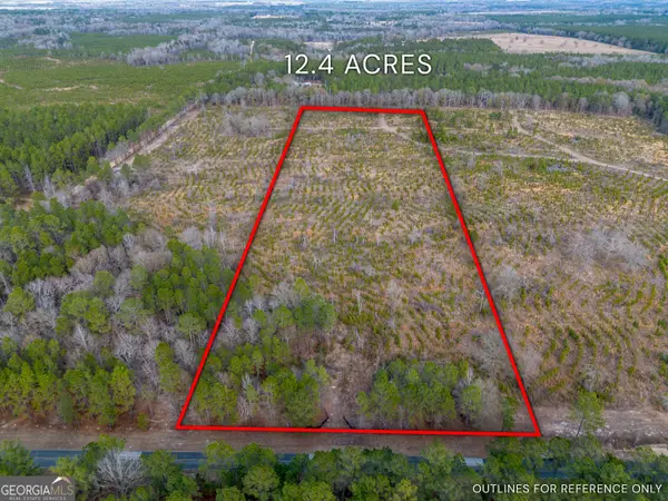 TRACT 2 Bell Line Road, Eastman, GA 31023