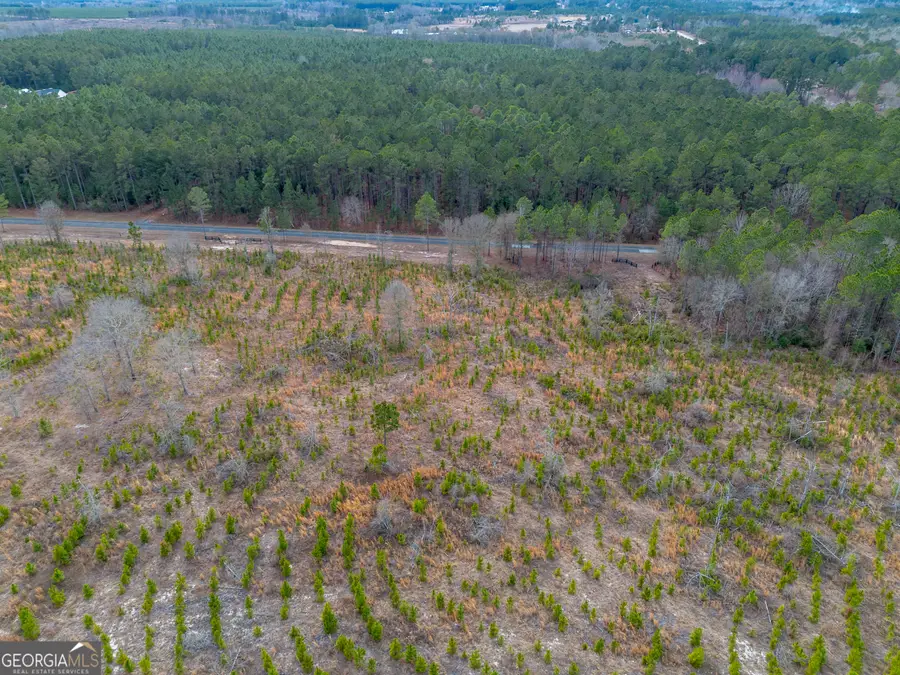 TRACT 2 Bell Line Road, Eastman, GA 31023 - #3