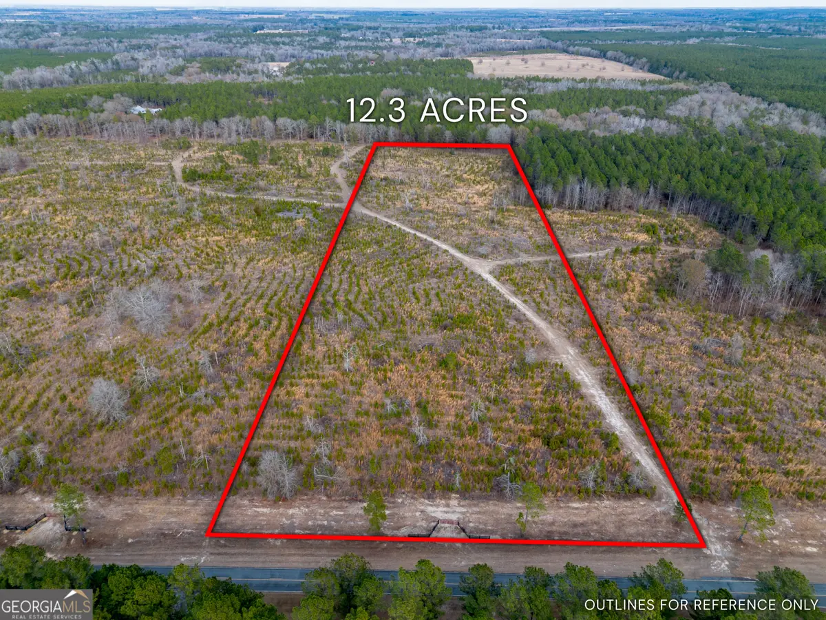 TRACT 4 Bell Line Road, Eastman, GA 31023 - #1