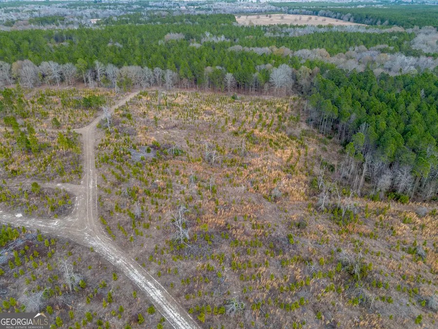 TRACT 4 Bell Line Road, Eastman, GA 31023 - #2