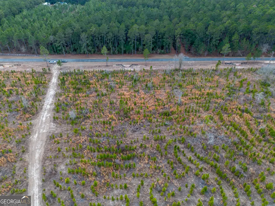 TRACT 4 Bell Line Road, Eastman, GA 31023 - #3