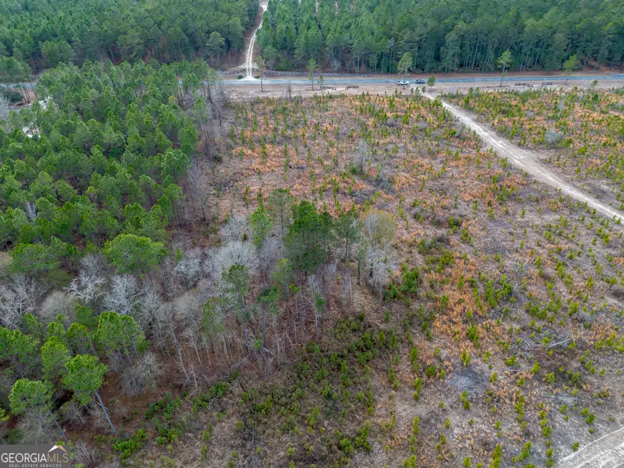 TRACT 5 Bell Line Road, Eastman, GA 31023 - #3
