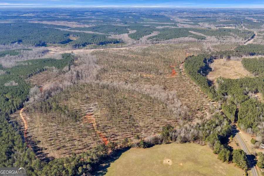 LEXINGTON Estates, Lexington, GA 30648 - #2