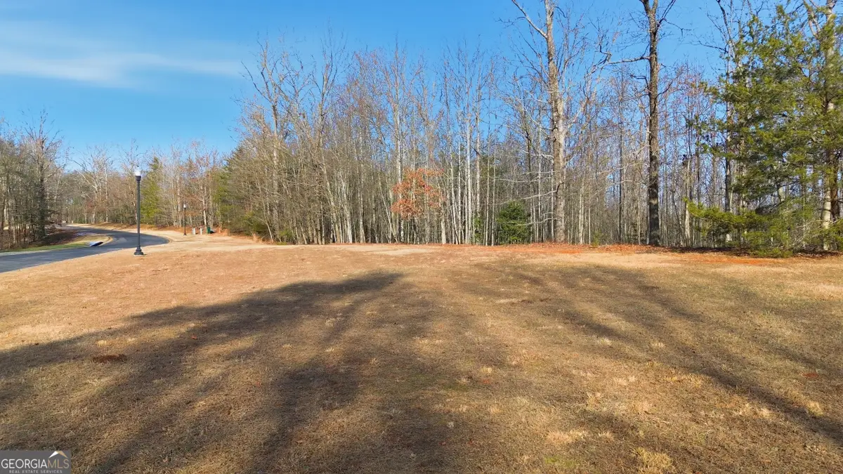 0 Shoals View, Clarkesville, GA 30523 - Image #1