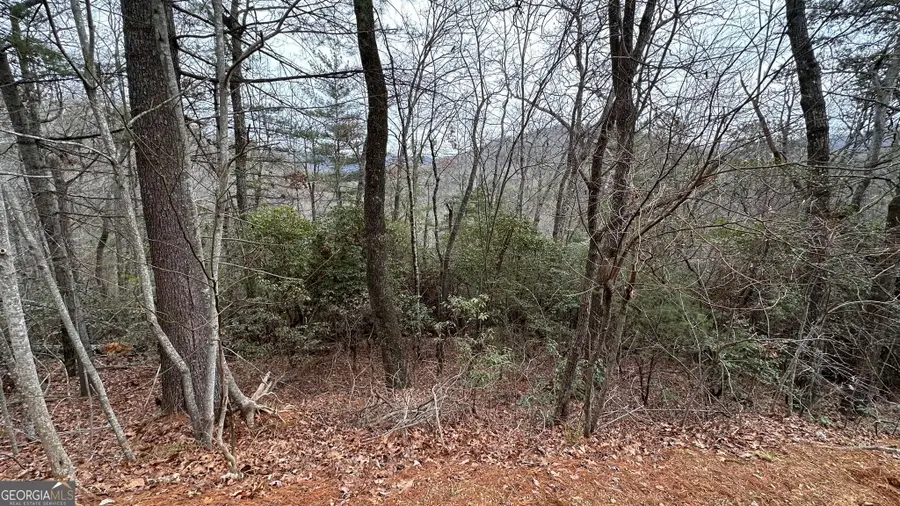 LOT 121 Doolittle Drive, Clayton, GA 30525 - #3