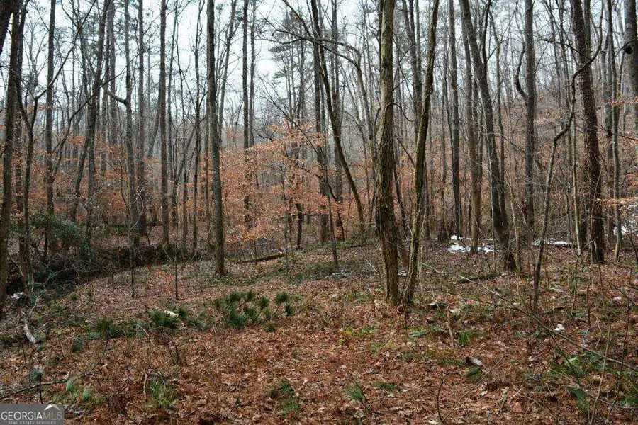 0 Willow Springs Road, Dallas, GA 30132 - #2