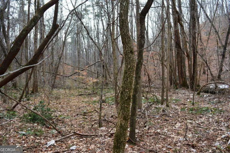 0 Willow Springs Road, Dallas, GA 30132 - #3