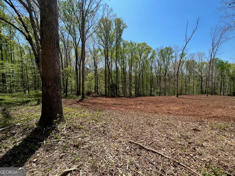 344 Hidden Valley Drive, Alto, GA 30510 - #3