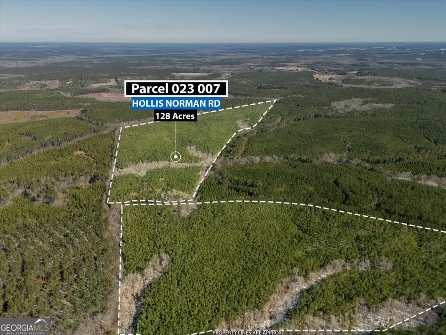 0 Callaway & Hollis Norman Rd., Washington, GA 30673 - #2