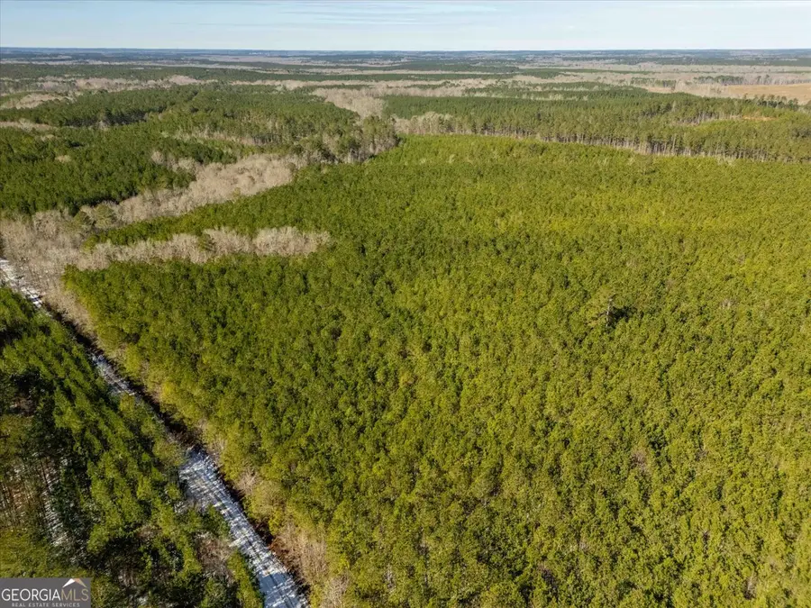 0 Callaway & Hollis Norman Rd., Washington, GA 30673 - #3