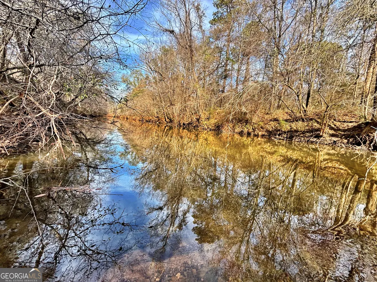 6411 Columbus Road, Lizella, GA 31052 - #1