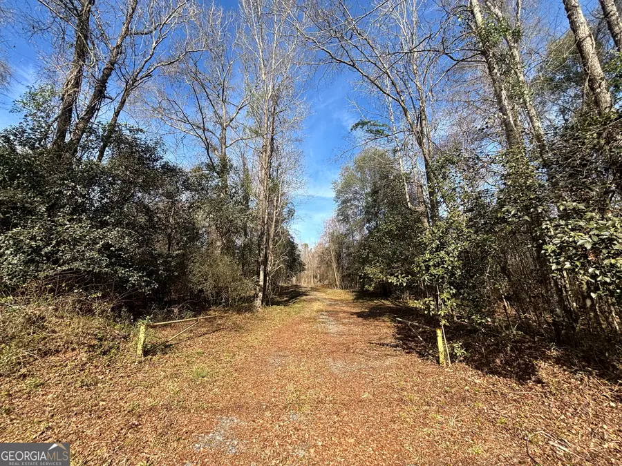 6411 Columbus Road, Lizella, GA 31052 - #3