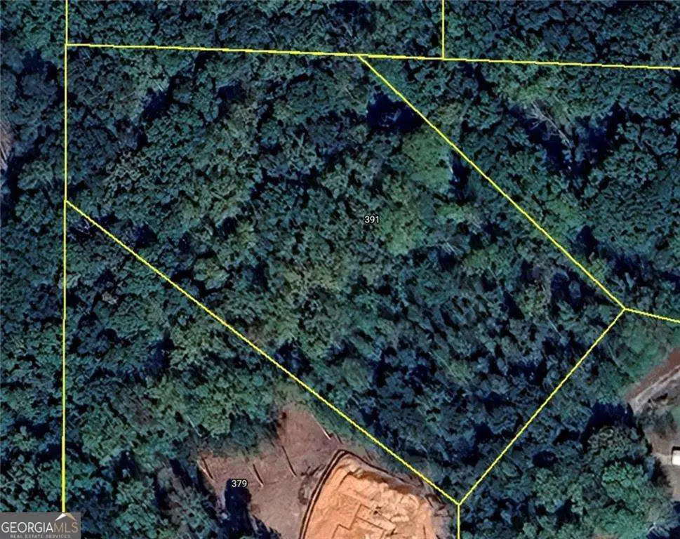 391 Marvin Land Lane, Canton, GA 30115 - Image #1