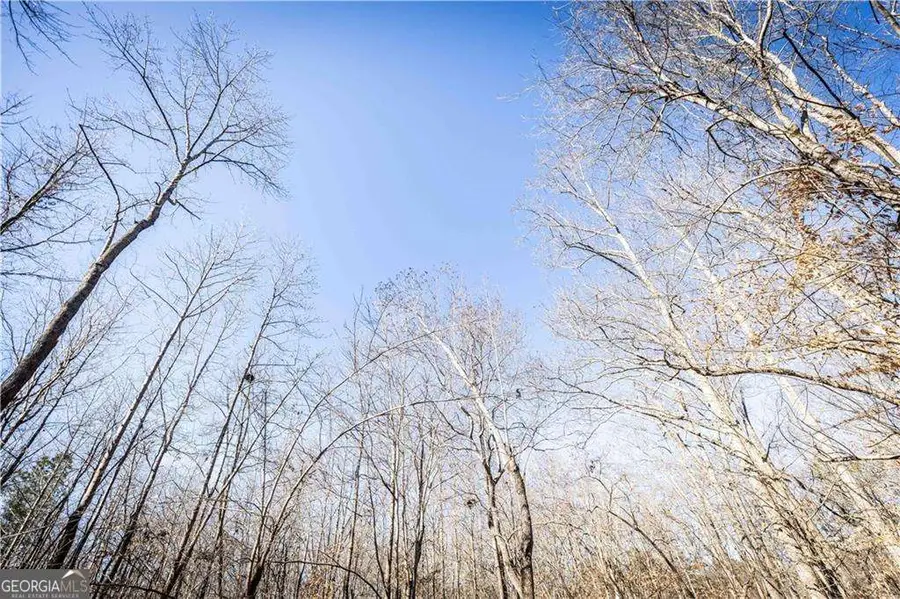 391 Marvin Land Lane, Canton, GA 30115 - Image #3