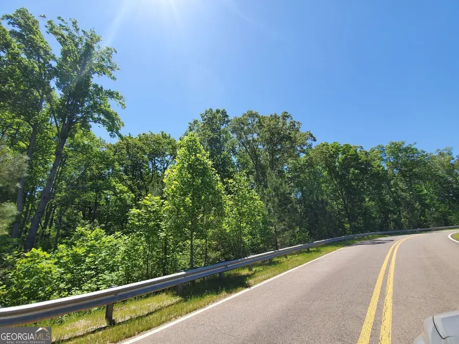 110 Hogan Pond Lane, Ball Ground, GA 30107 - #2