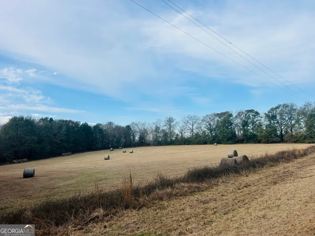 0 Fouche Road #LOT 2B & 2C, Buena Vista, GA 31803 - #1