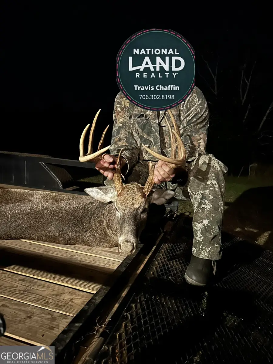 0 Fouche Road #LOT 2B & 2C, Buena Vista, GA 31803 - #2