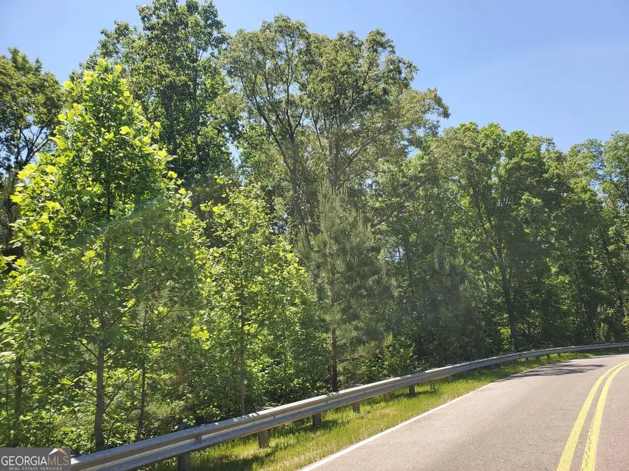 104 Hogan Pond Lane, Ball Ground, GA 30107 - #2