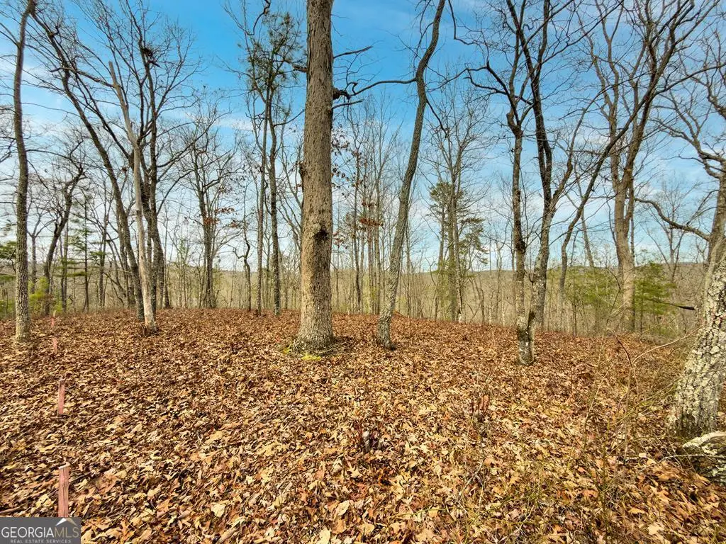 LTS 156 & 157 Harris Creek Drive, Ellijay, GA 30540 - #1
