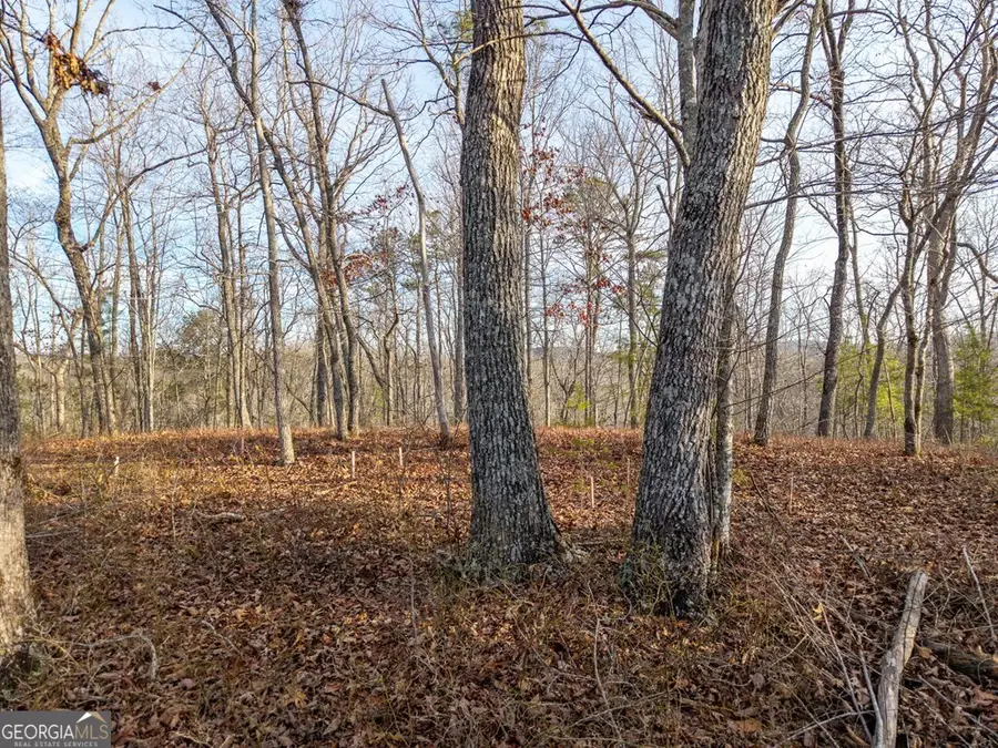 LTS 156 & 157 Harris Creek Drive, Ellijay, GA 30540 - #3