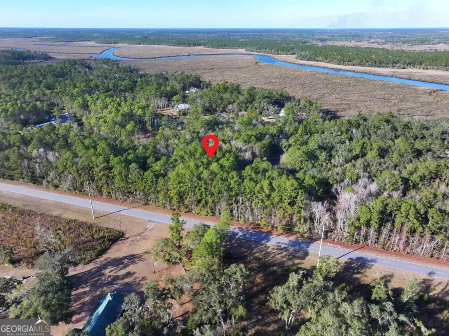 0 Merlin Court, Waverly, GA 31565 - #2