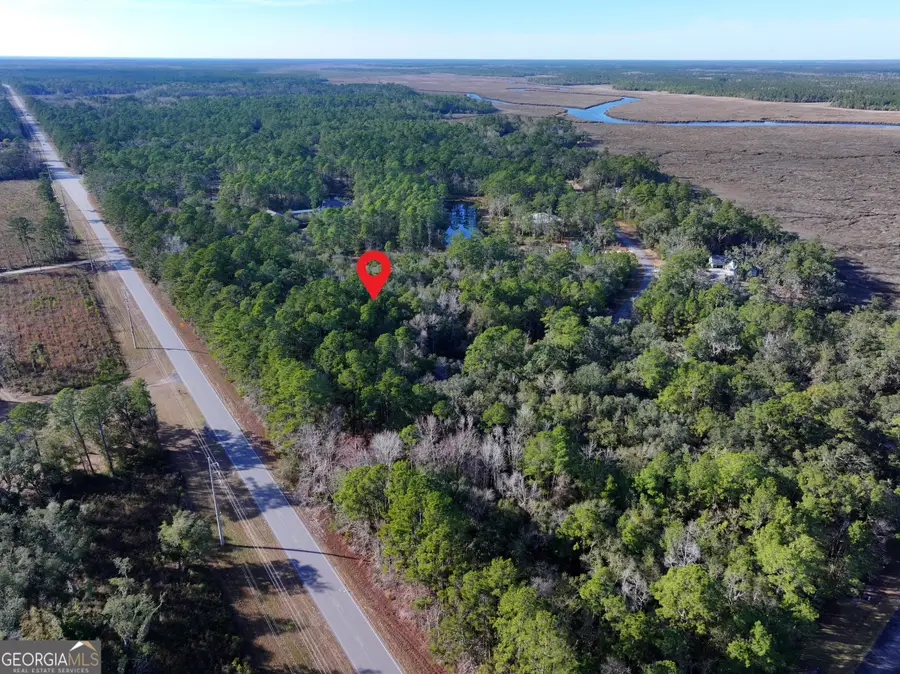 0 Merlin Court, Waverly, GA 31565 - #3