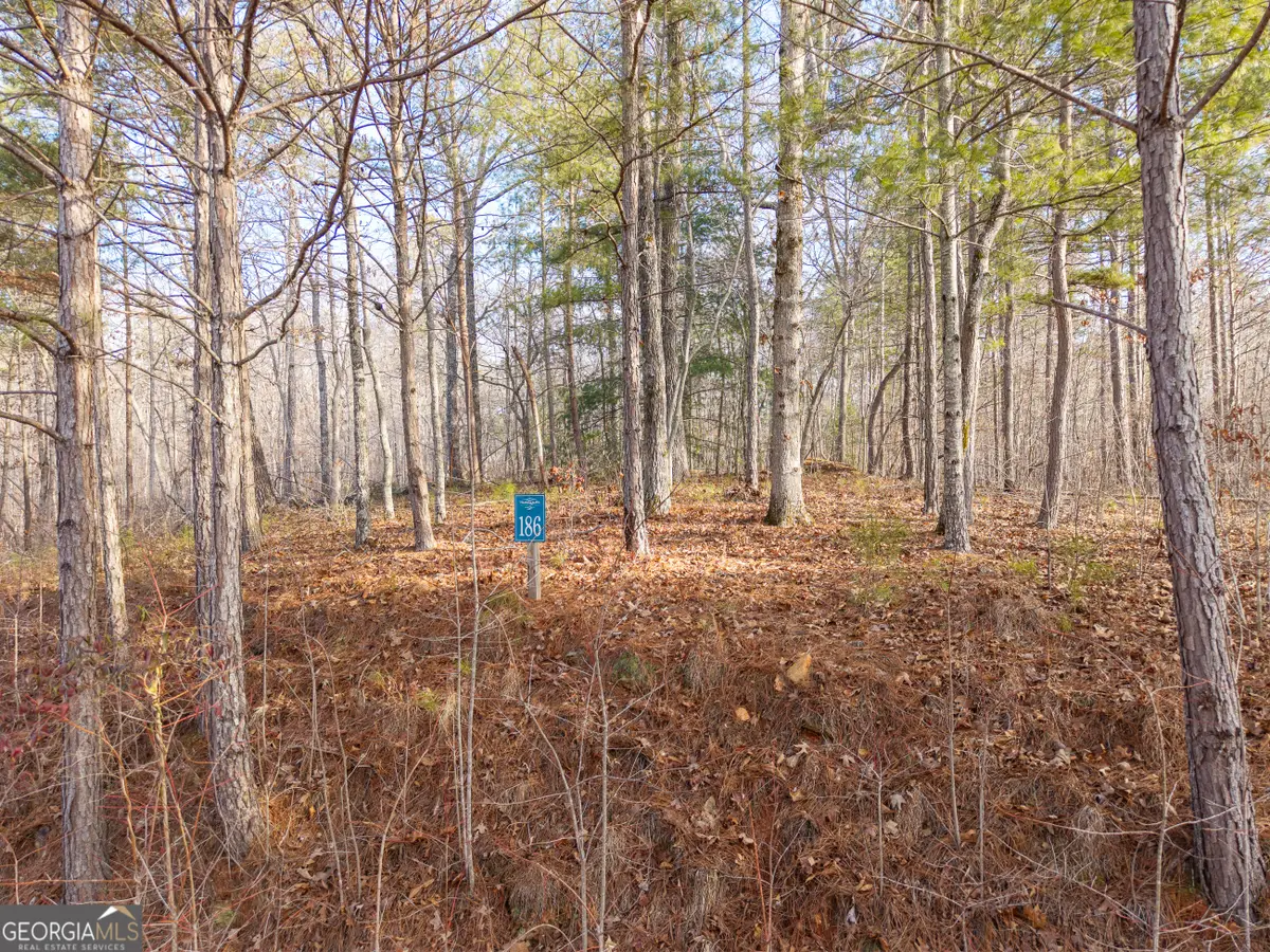 LOT 186 Harris Ridge Lane, Ellijay, GA 30540 - #1