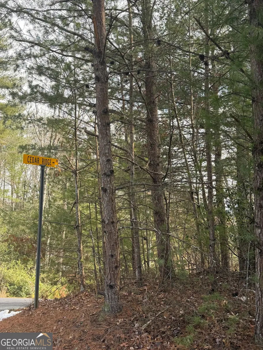 0 Cedar Ridge, Clayton, GA 30525 - #3