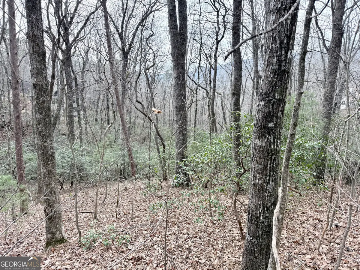 0 Monarch Lane, Clayton, GA 30525 - #1