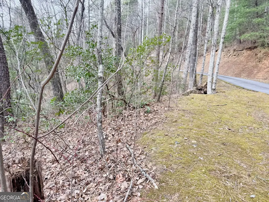 0 Monarch Lane, Clayton, GA 30525 - #3