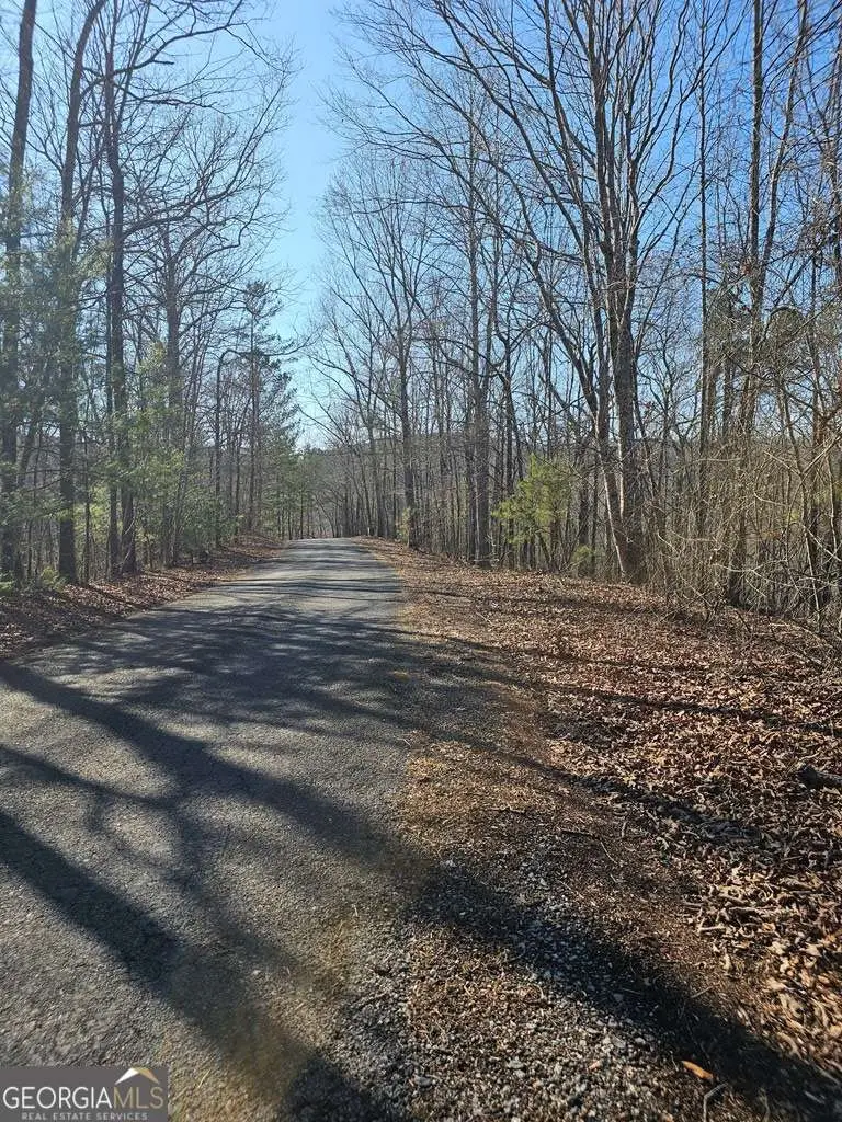 1.16 Marie Drive #1802B, Talking Rock, GA 30175 - #2