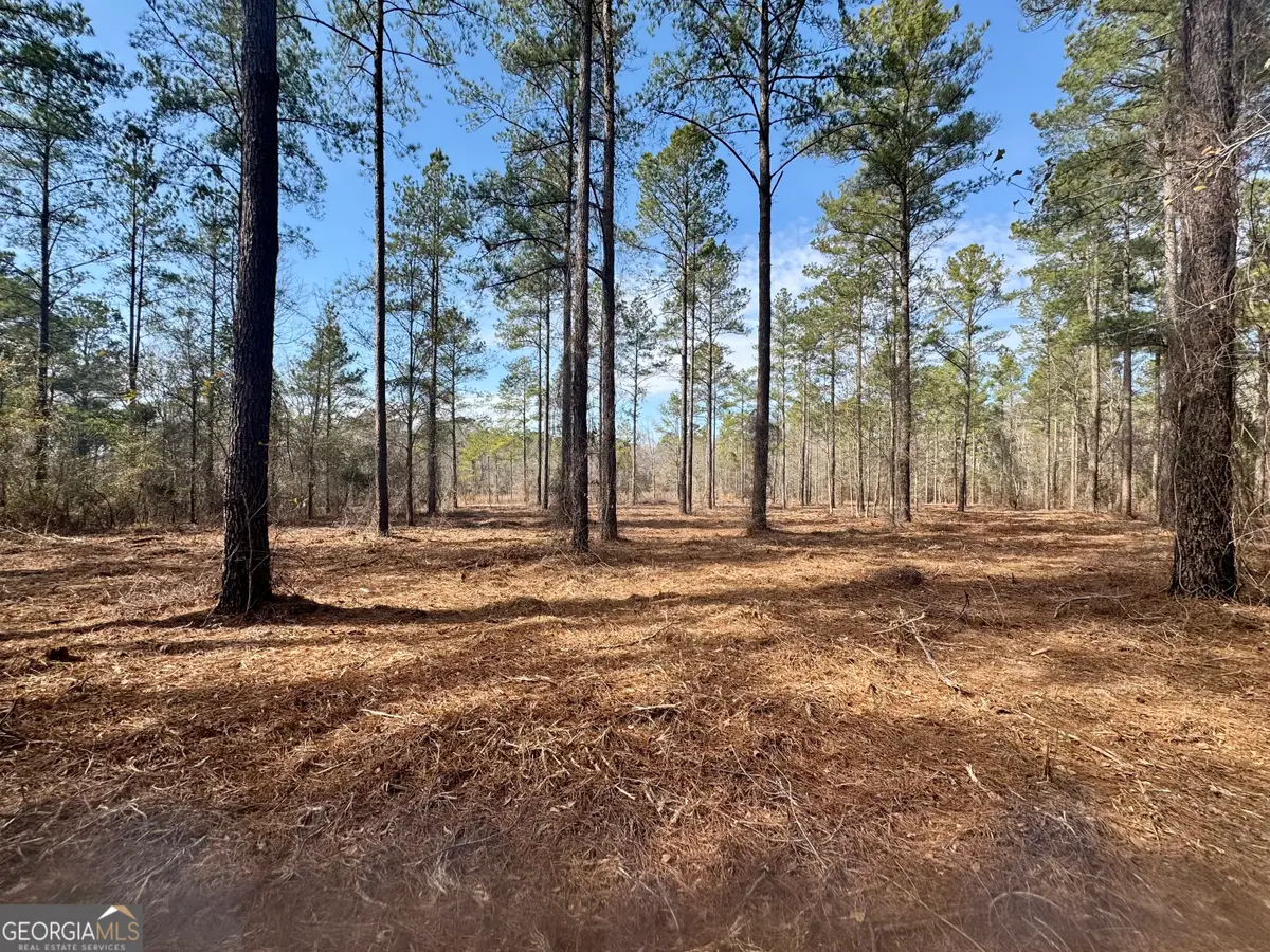 0 Mosley Bridge Road, Claxton, GA 30417 - #1