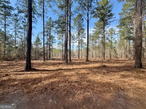 0 Mosley Bridge Road, Claxton, GA 30417