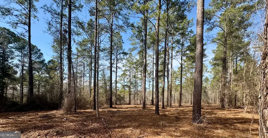0 Mosley Bridge Road, Claxton, GA 30417 - #2
