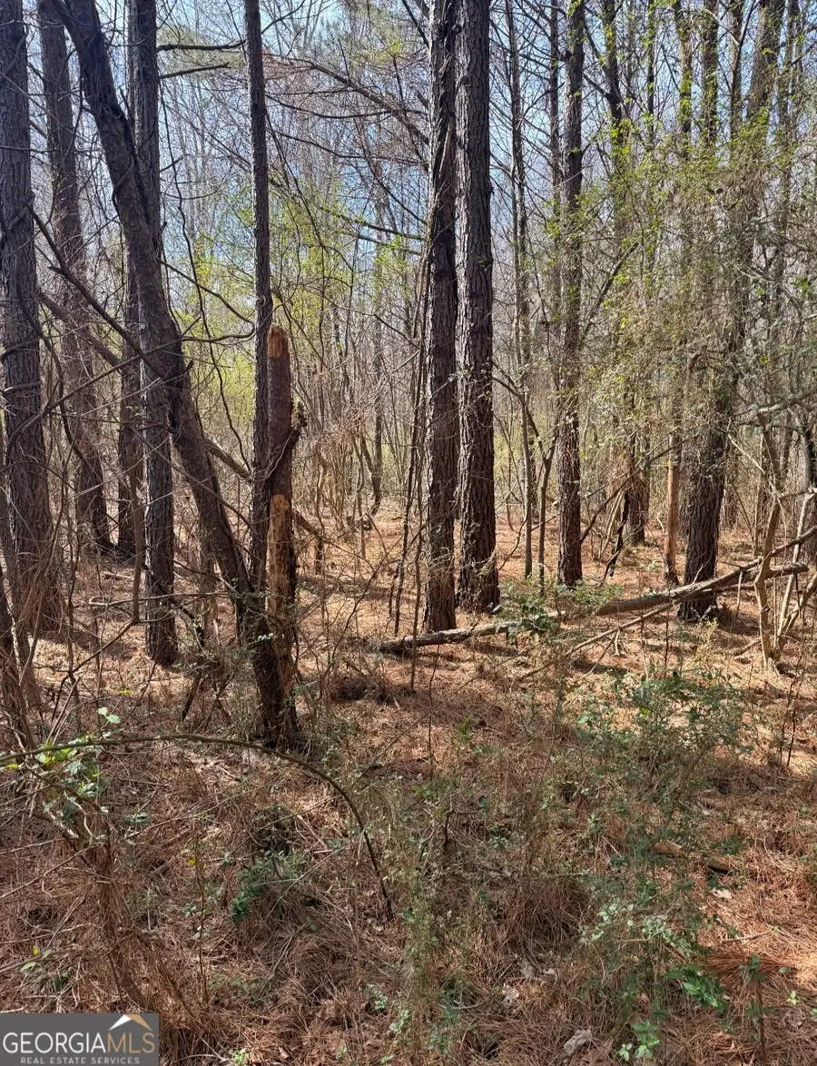 950 John W Breedlove Road, Monroe, GA 30656 - #3