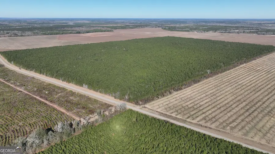 0 Belmont Road, Louisville, GA 30434 - #3