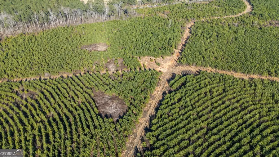 0 Warren Road, White Plains, GA 30678 - #3