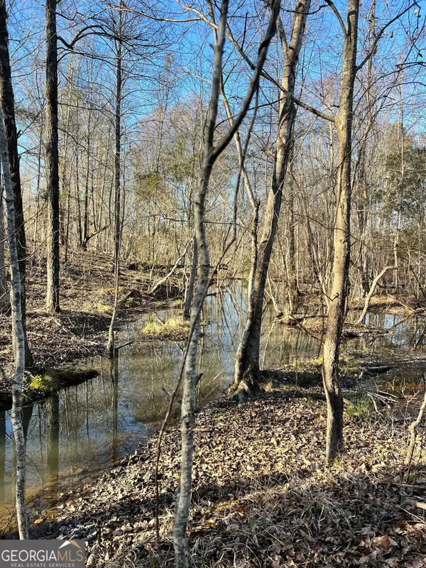 0 Crawfordville Road, White Plains, GA 30678