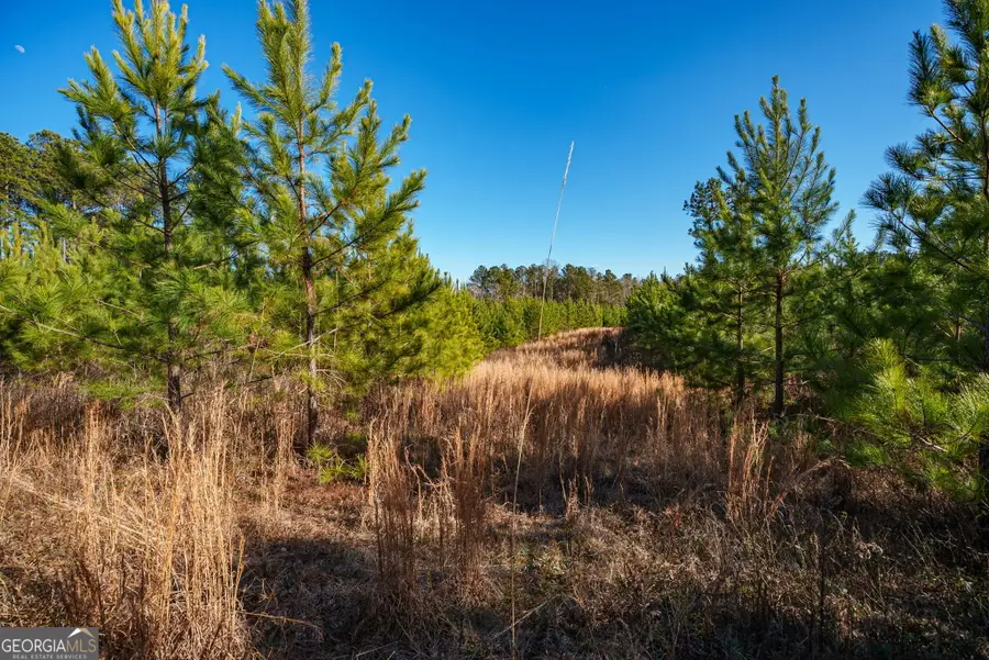 0 Crawfordville Road, White Plains, GA 30678 - #3