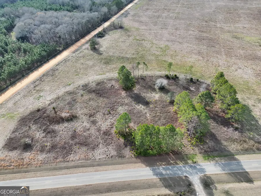 0 Eagle Pond / Old Smithville Road, Leesburg, GA 31763 - #2