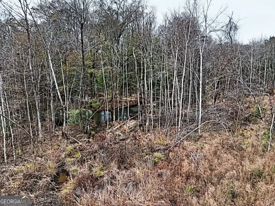 0 Eagle Pond / Old Smithville Road, Leesburg, GA 31763 - #3