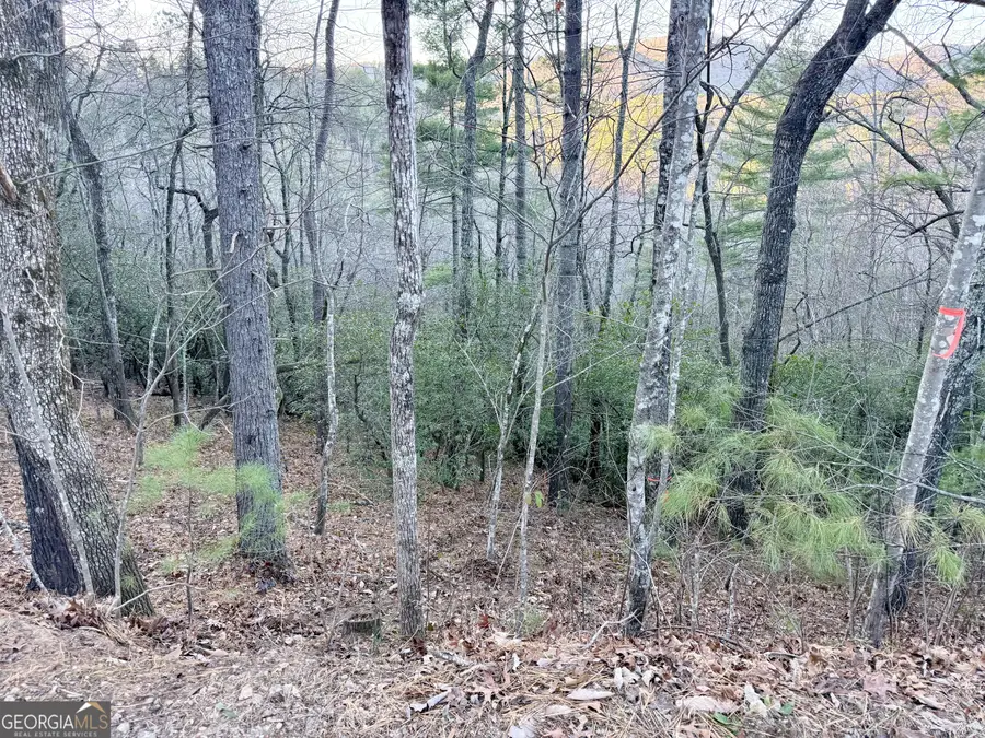 0 Timber Bluff Dr, Clayton, GA 30525 - #2