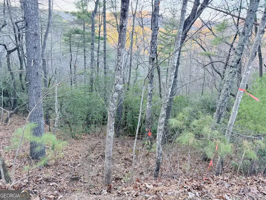 0 Timber Bluff Dr, Clayton, GA 30525 - #3