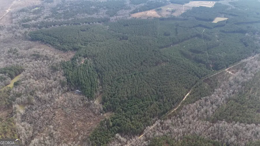 198 Culverton Church Road, Sparta, GA 31087 - #3