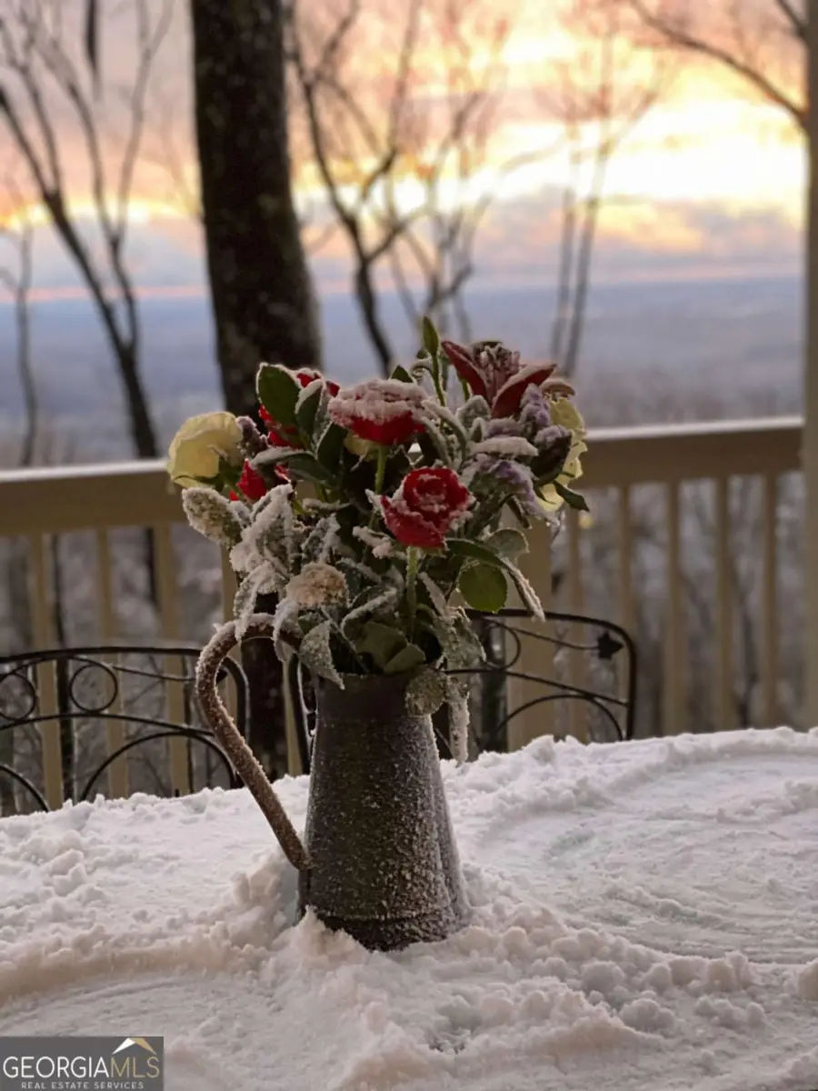 1911 Ridgeview Drive, Jasper, GA 30143 - #3