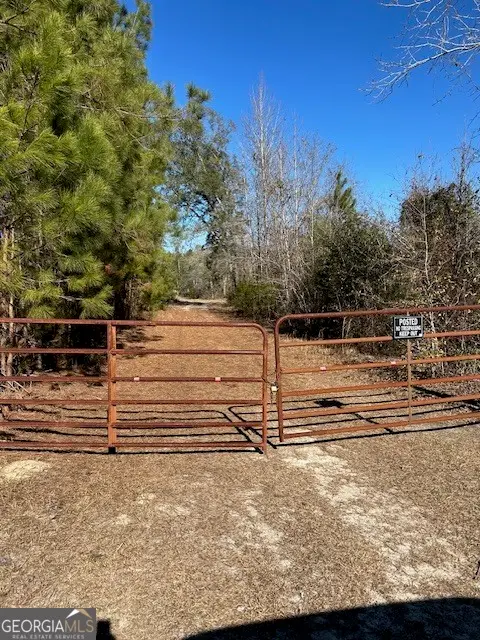 4501 Deloach Church Road, Claxton, GA 30417 - #1